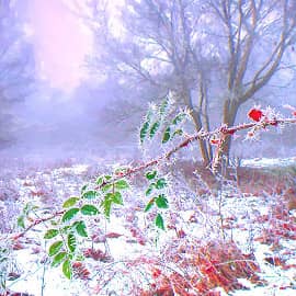 Колючий мороз.