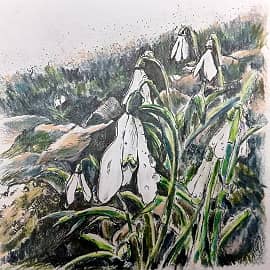 Подснежники