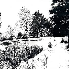 Среди зимы 11  Among the Winter 11