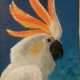 Красивый попугай