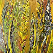 Люпины. #Marskolla