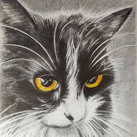 Не подходи ко мне, я обиделась!