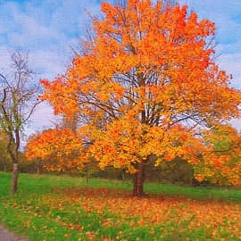 "и пышное природы увяданье".