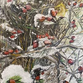 Зимний шиповник