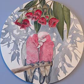 Эвкалиптовая элегия