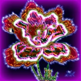 Светографика 22