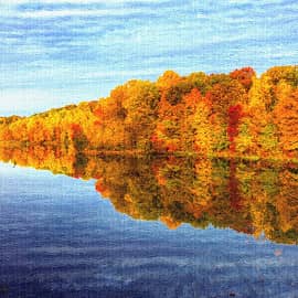 осенние отражения