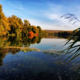 Берег осени.