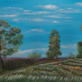 Лаванда и ковыль