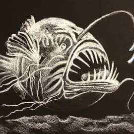 Морской чёрт-удильщик.