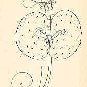 Буква Ф (из цикла "Красота русского алфавита")