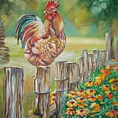 Доброе утро страна!