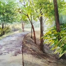 Тенистая аллея