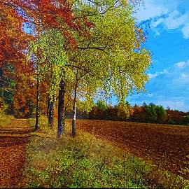 Осенняя аллея.