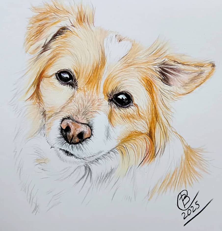 Русская каштанка