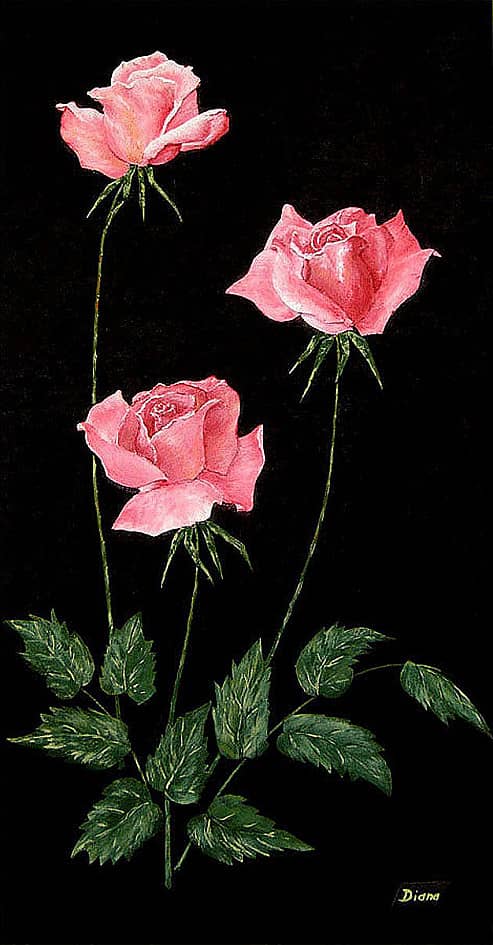 Коллаж "Красные розы"