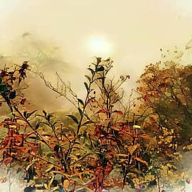 Туманный рассвет.