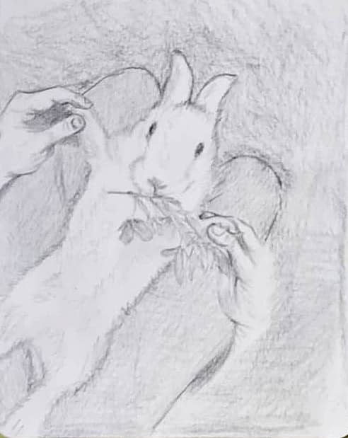 Сельськие радости