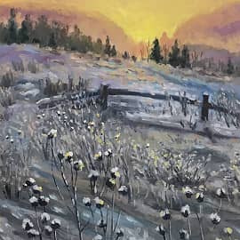 Зимний чертополох