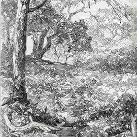 В тени деревьев