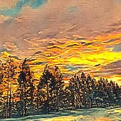 Закатный лес.