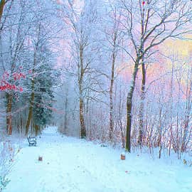 Морозный рассвет.