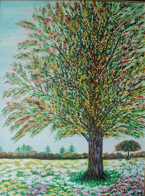 Волшебное дерево. Старая сказка