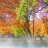 Туманный берег.