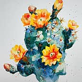 Цветущий кактус