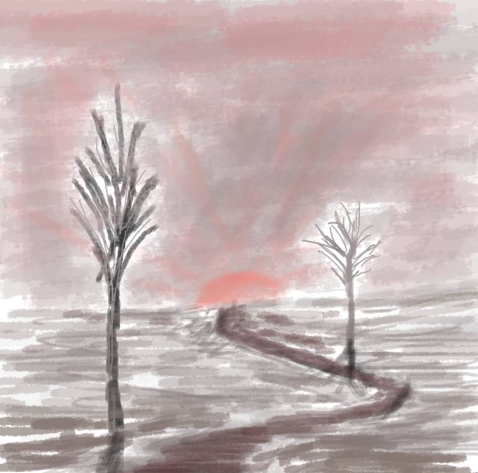 Два дерева и закат