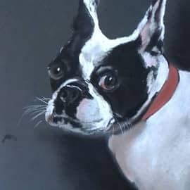 Добрый друг