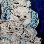 Полярные совы