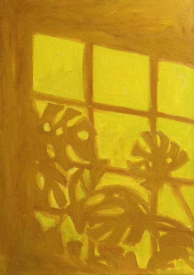 Листья монстеры танцуют под лучами солнца