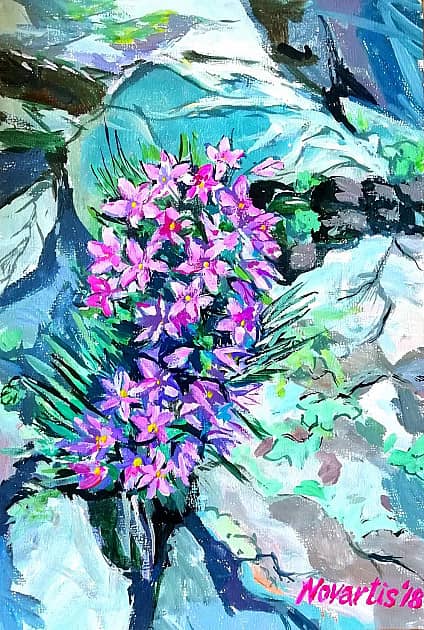 Весенние цветы на скалах