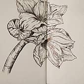 Цветы ручкой