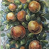 Дар природы