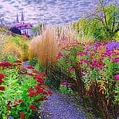 Отцвели уж давно хризантемы в саду.