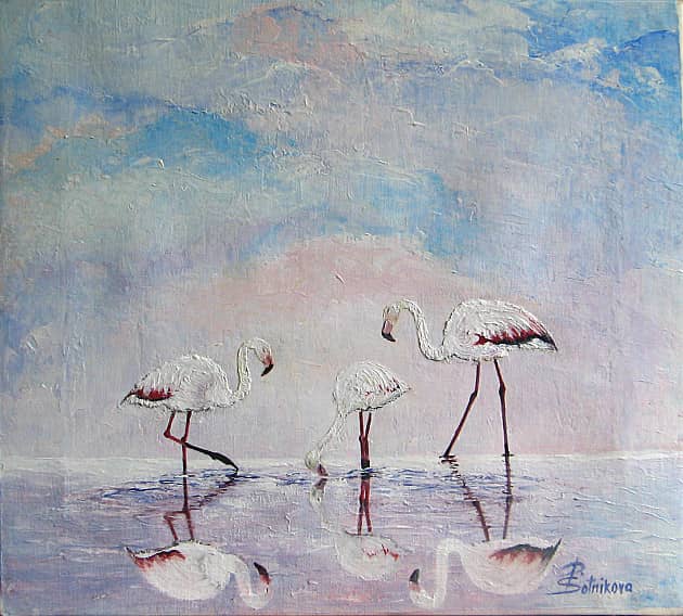 Семья фламинго