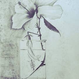Цветок в стакане