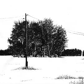 Среди зимы 3  Among the Winter 3