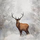 Сказочный олень