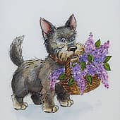 Открытка - 14