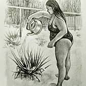 Юкка садовая