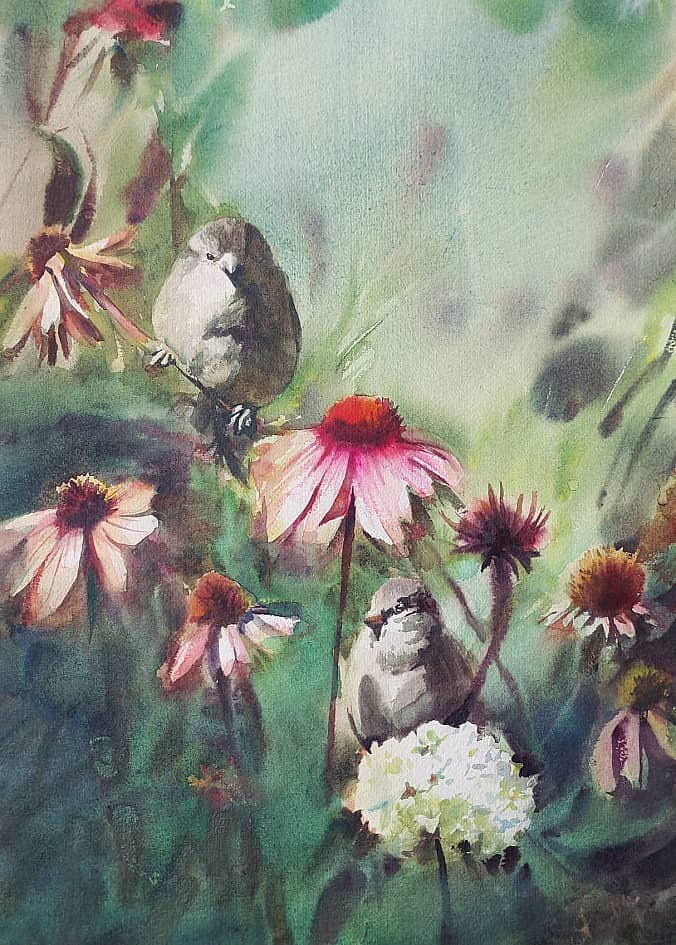 Воробьи и эхинацея.