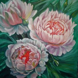 Белые пионы.