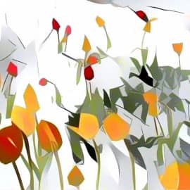 Flower abstract (20.03.22)