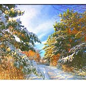 Солнечный день. (2), художник Alex-08