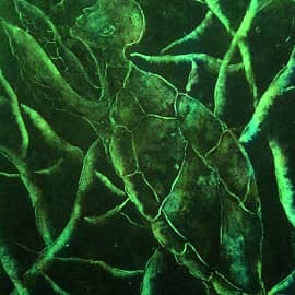 "Анамнезис"