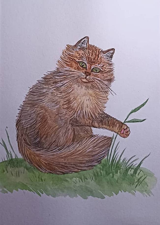 Маленький котенок