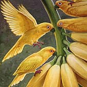 Тропический сад (2), художник Лиза Рэй